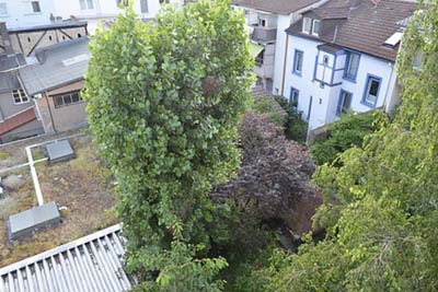 Ferienwohnungen Sehnke - Hohenzollern