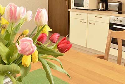 Ferienwohnungen Sehnke -Siebenpfeiffer